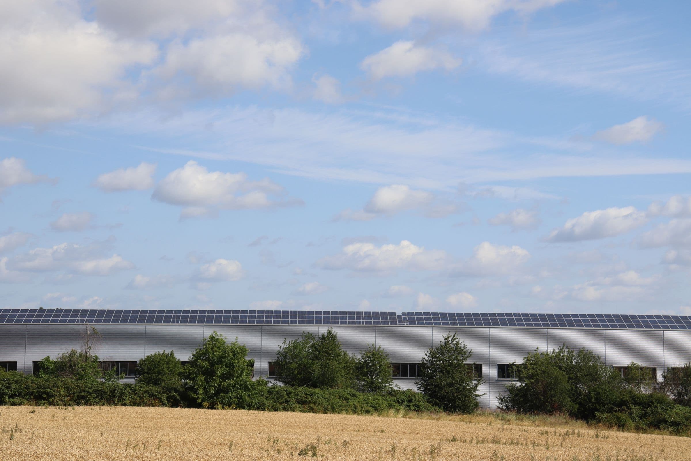 Long hangar agricole avec une rangée de panneaux solaires sur toute la longueur du toit, champ de céréales au premier plan.