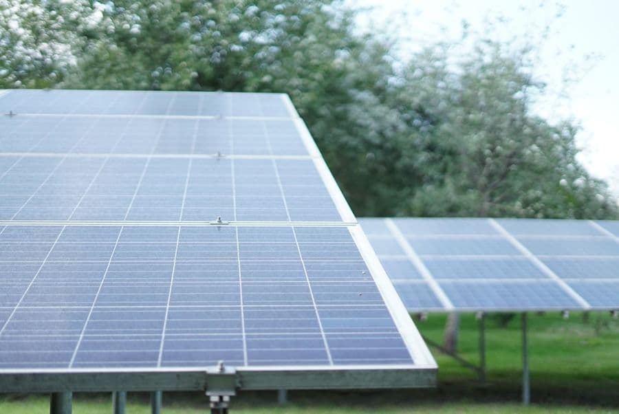 Panneaux photovoltaïques installés au sol dans un cadre arboré, vue rapprochée avec des arbres en arrière-plan.