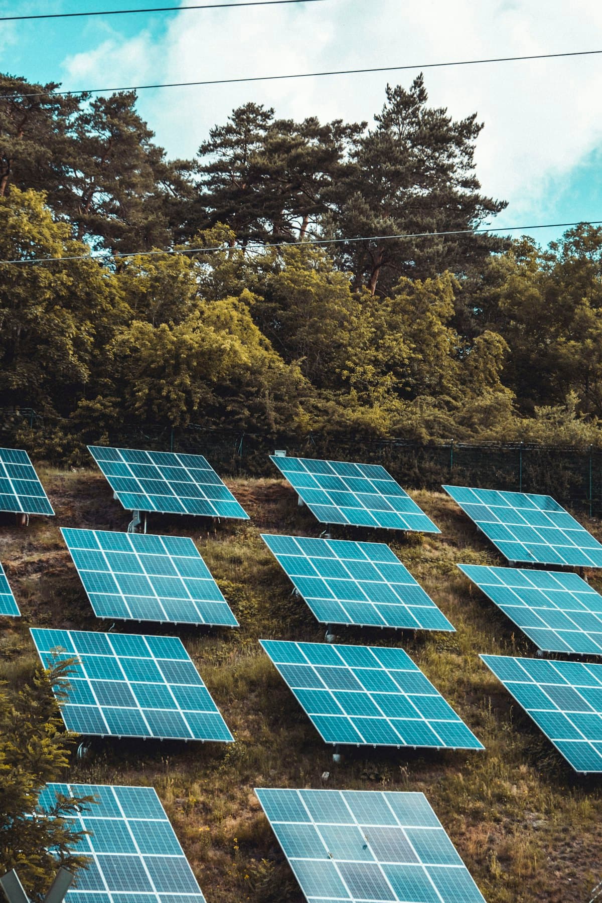 Rangées de panneaux photovoltaïques installés au sol sur un terrain en pente, entourées d’arbres.